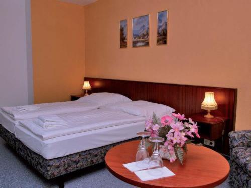 Landhotel Alt-Jocketa Pöhl Zewnętrze zdjęcie