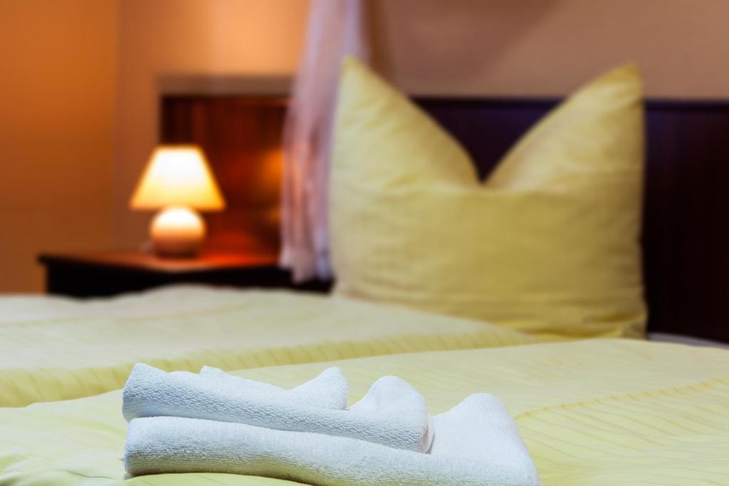 Landhotel Alt-Jocketa Pöhl Pokój zdjęcie