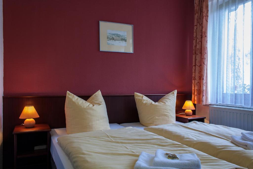 Landhotel Alt-Jocketa Pöhl Pokój zdjęcie